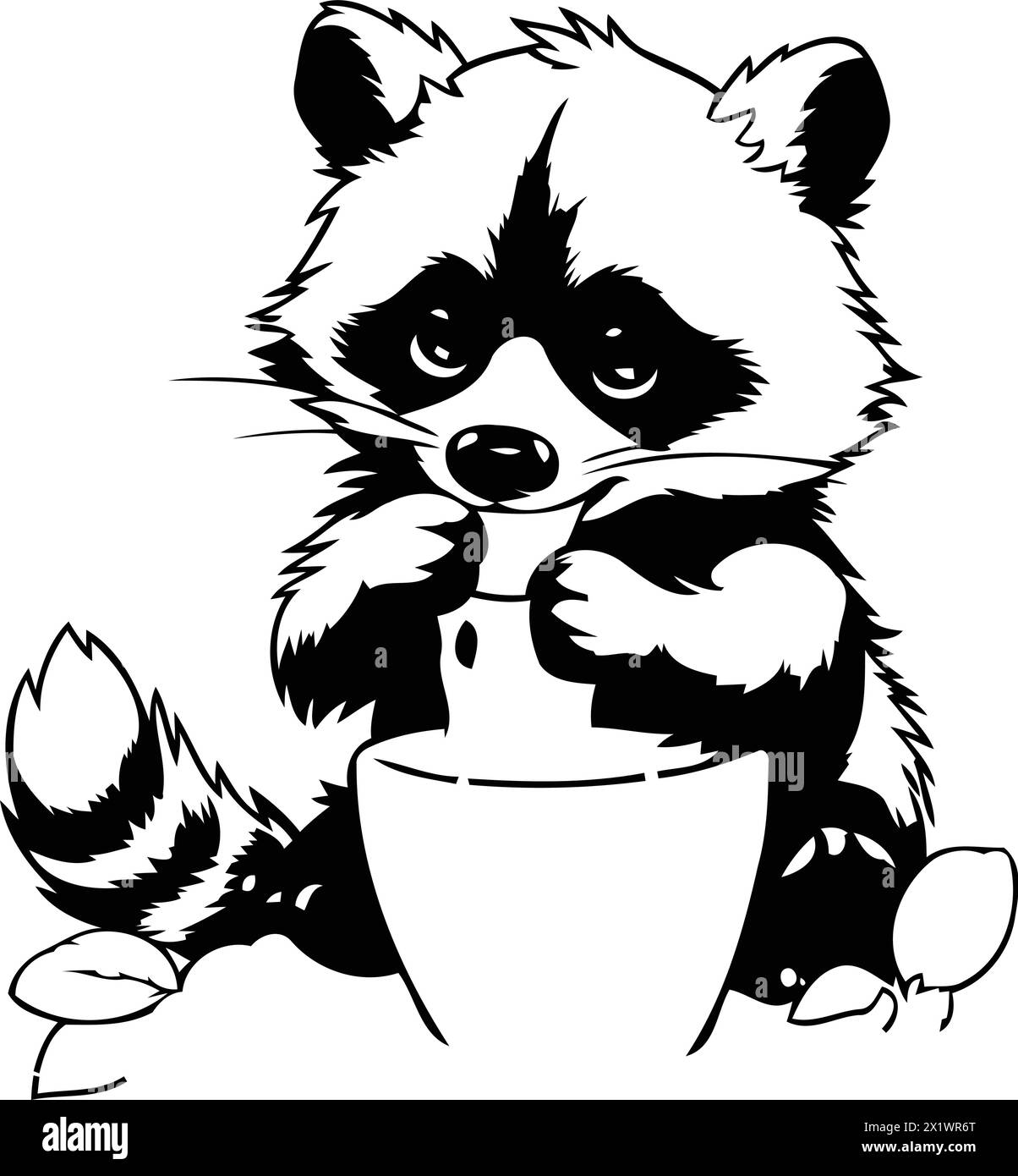 Drinking Racoon Line Drawing Raccoon water Stock Vector Images - Alamy