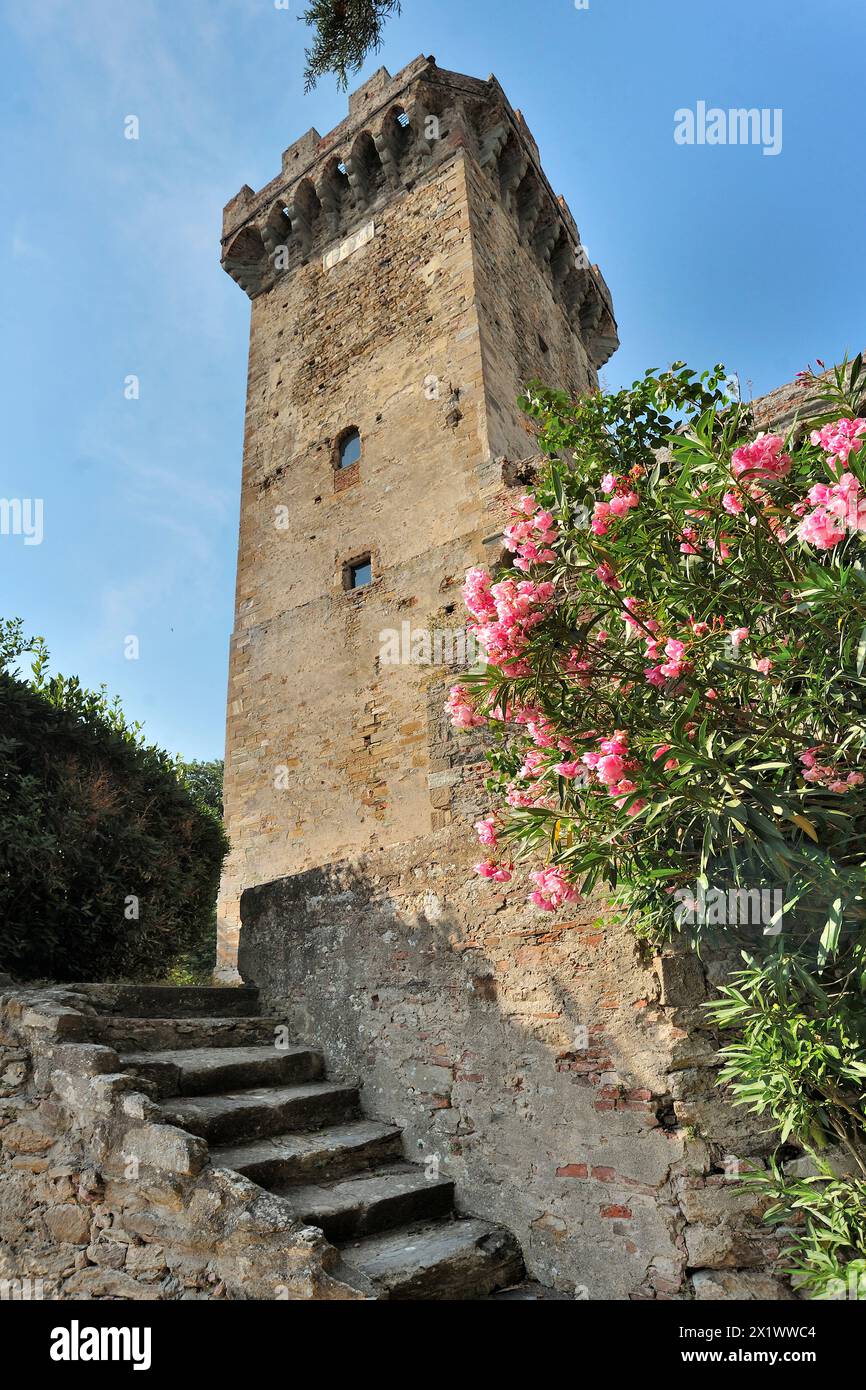 Rocca Del Brunelleschi. Vicopisano. Tuscany. Italy Stock Photo