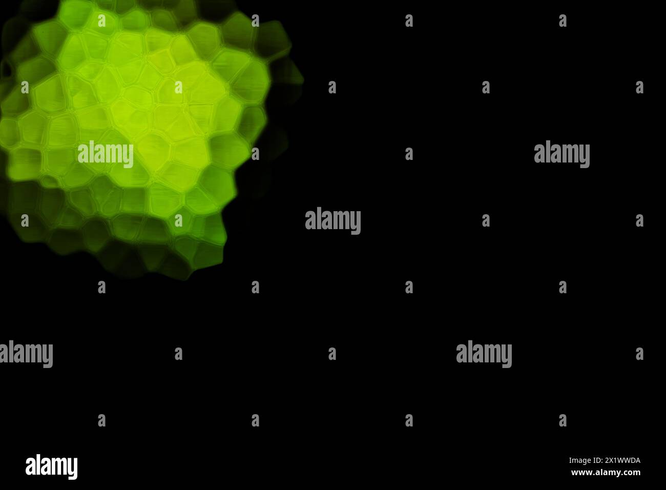 Green Polygonal Shapes on black background. Honeycomb pattern. Stock Photo