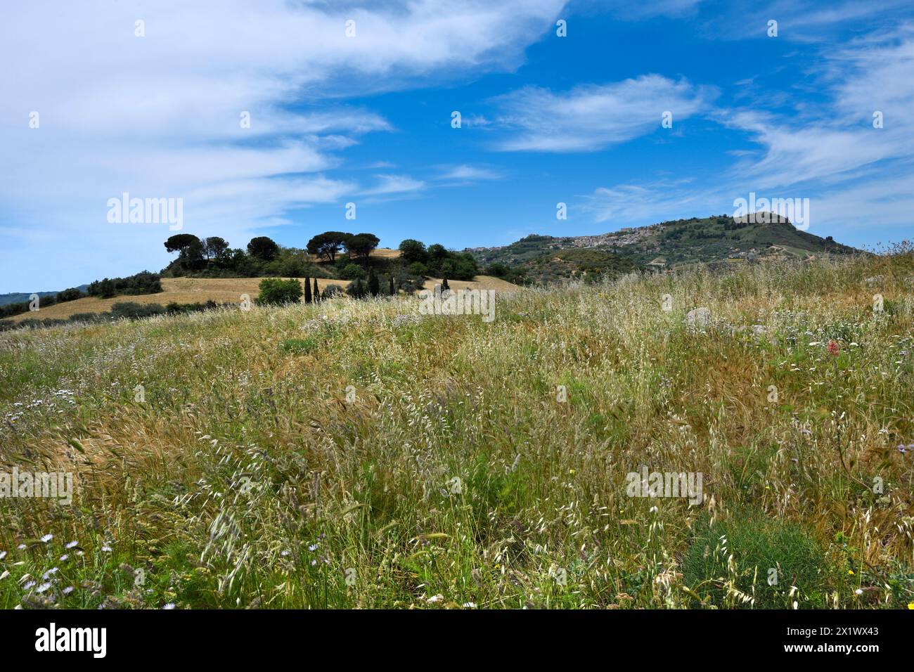 Morgantina. Landscape near Aidone. Sicily. Italy Stock Photo