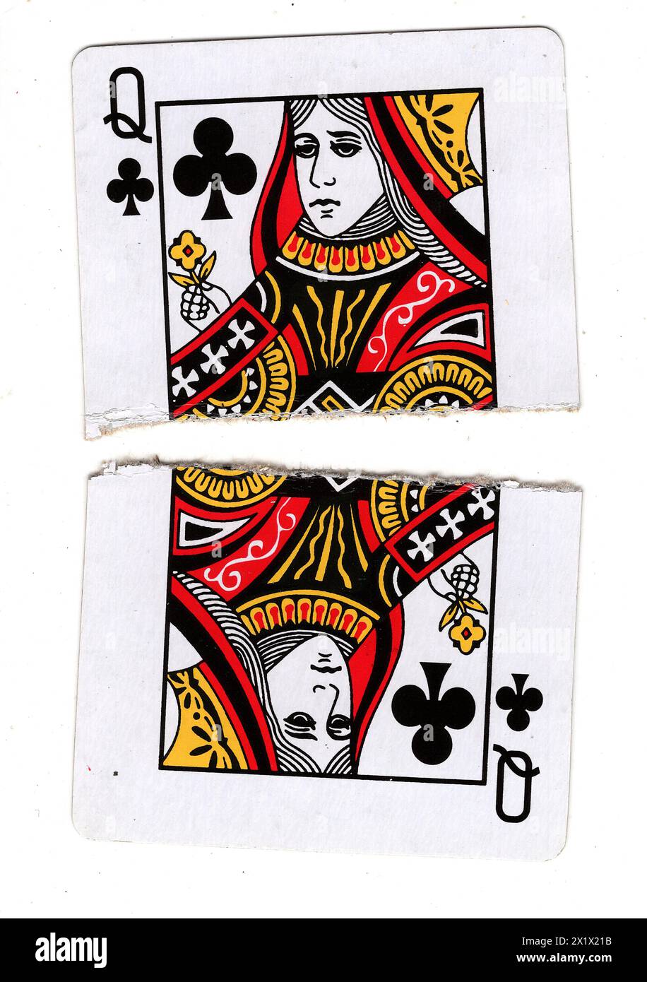 Queen Card Ripped A queen of clubs playing card torn in half on a white background Stock ...