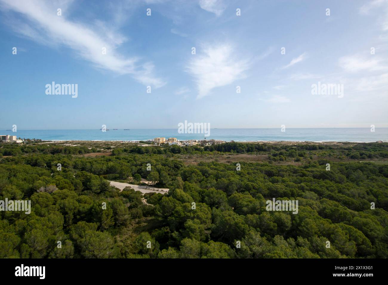 Aerial views of the Devesa del Saler, forests and beach Stock Photo