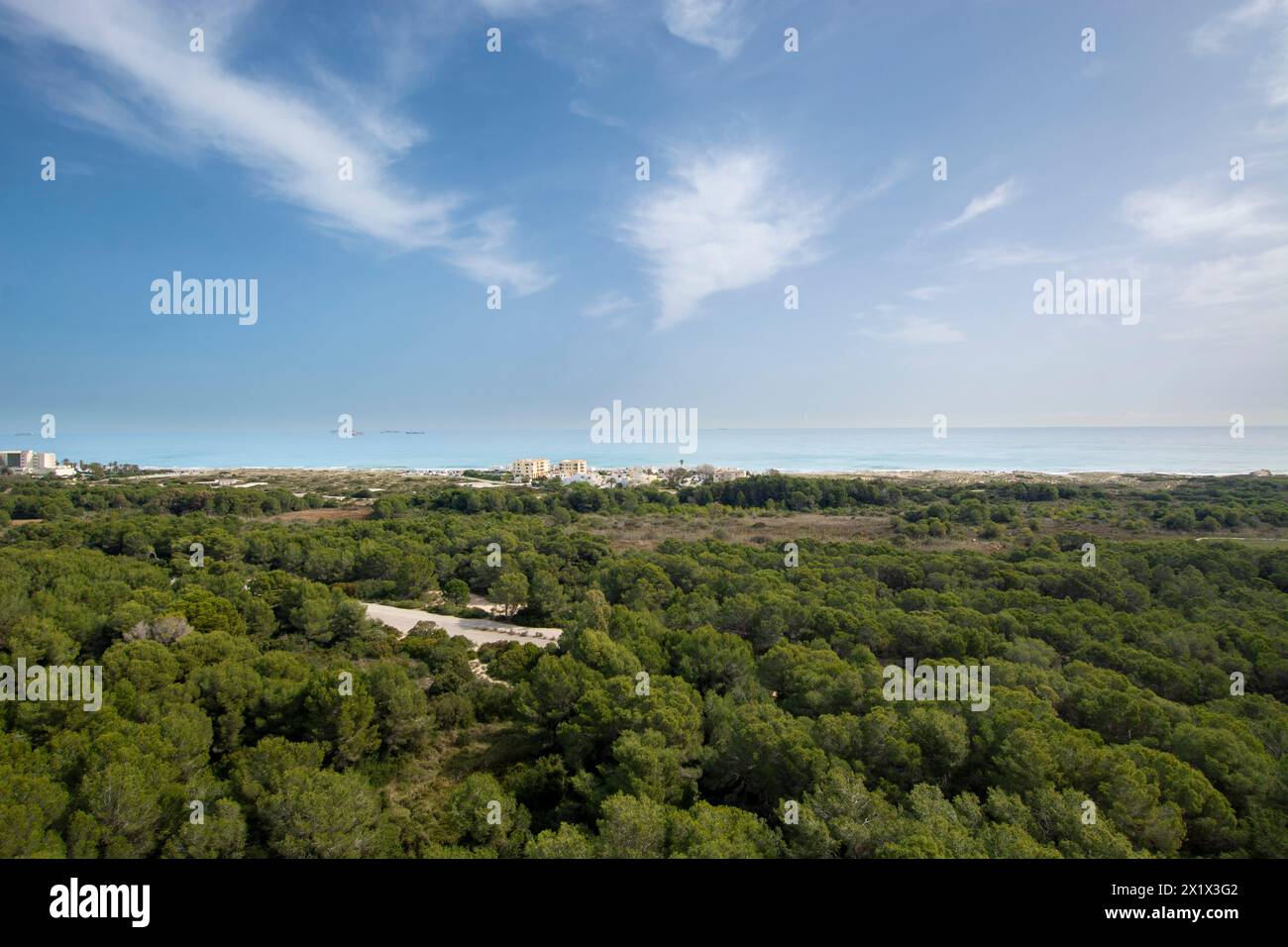 Aerial views of the Devesa del Saler, forests and beach Stock Photo
