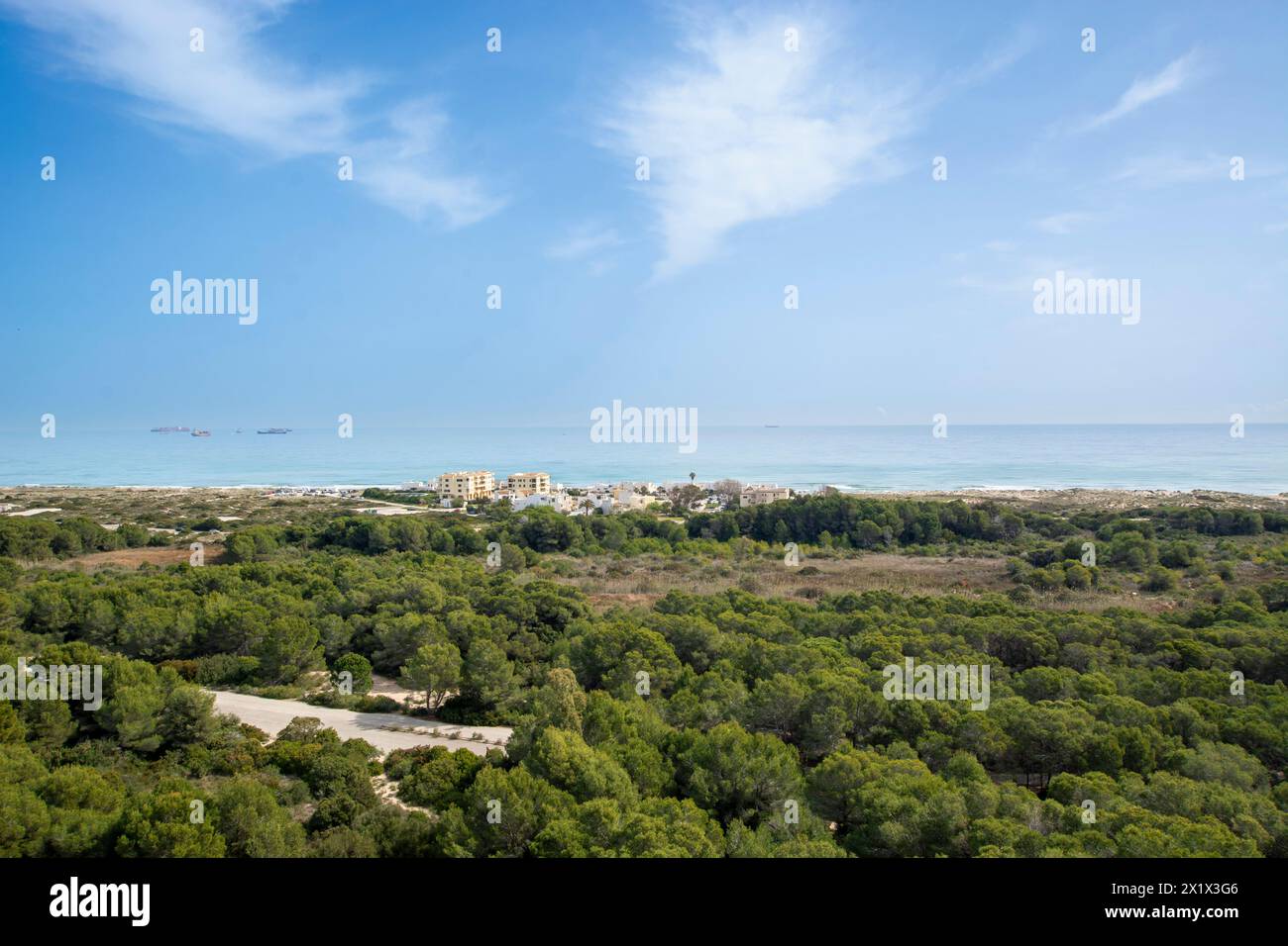 Aerial views of the Devesa del Saler, forests and beach Stock Photo