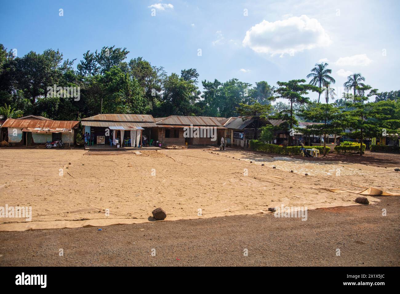 Arusha,Tanzania,Africa. 02 february 2022. near the house, rice was laid out for drying in the sun on large material Stock Photo
