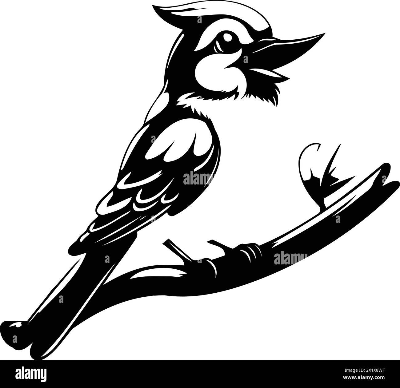 Blue jay bird sitting on a branch isolated on white background. Vector illustration. Stock Vector
