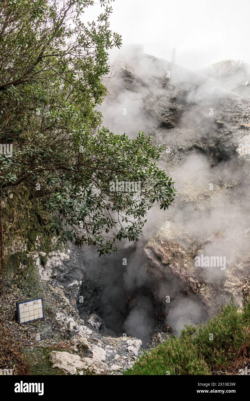 Steamy fumarole in Furnas, in the Sao Miguel island, Azores archipelago Stock Photo