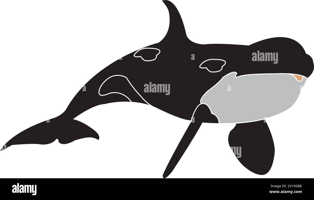 Whale icon vector illustration simple design Stock Vector Image & Art ...