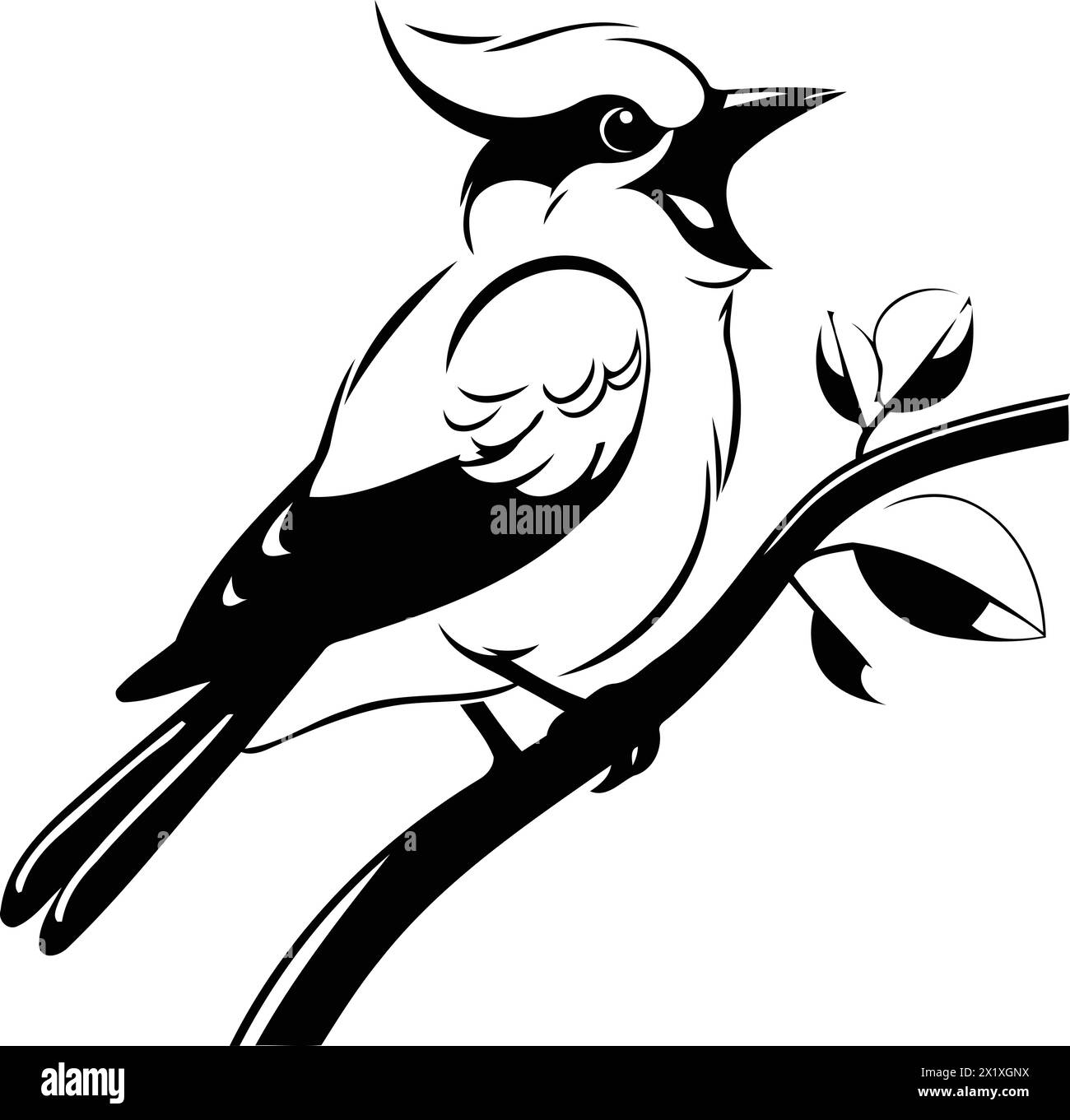 Blue jay bird sitting on a branch. Vector illustration in cartoon style. Stock Vector