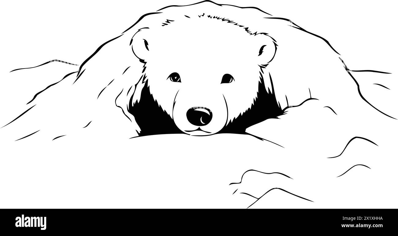 Polar bear in the snow. Vector illustration for your design. Stock Vector