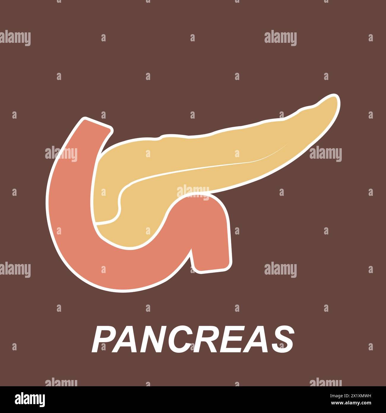 Pancreas icon vector illustration simple design Stock Vector