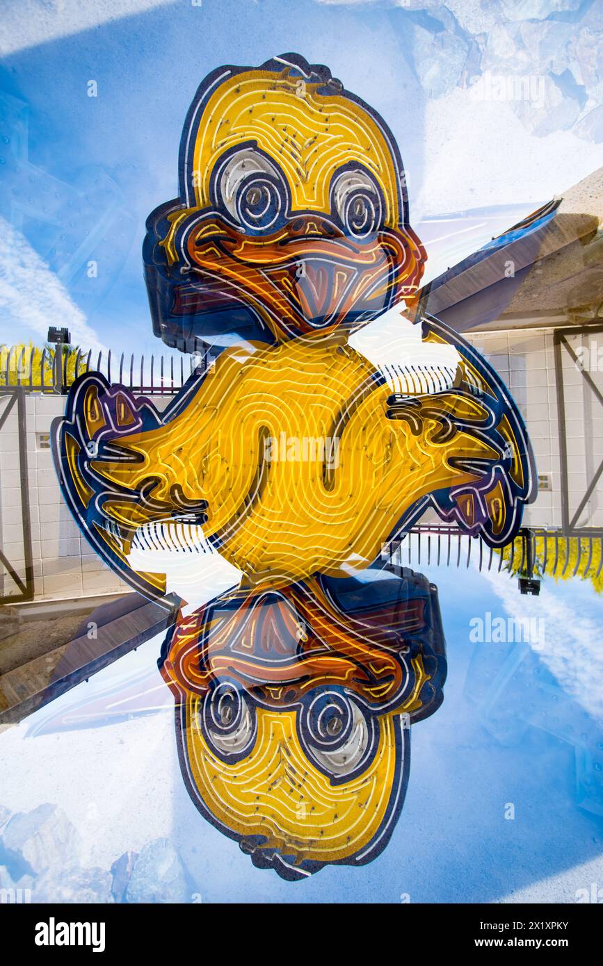 Double exposure of abandoned and discarded neon Duck sign in the Neon Museum aka Neon boneyard in Las Vegas, Nevada. Stock Photo