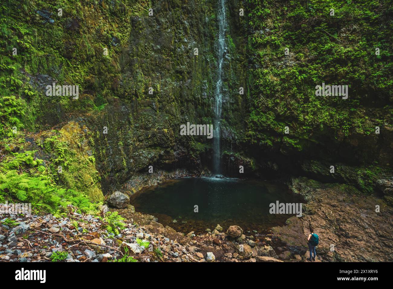 Description: Backpacker tourist enjoys standing in front of a picturesque waterfall pool overgrown with plants in Madeira rainforest. Levada of Caldei Stock Photo