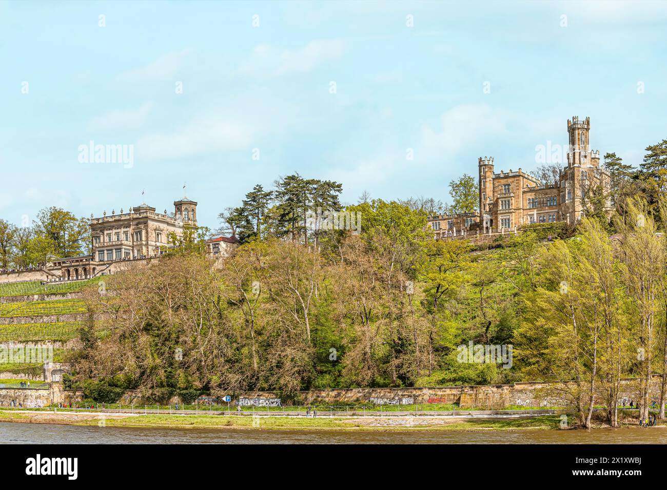 Eckberg Castle and Villa Stockhausen (Lingner Castle), two of the three Elbe castles in the Elbe valley of Dresden seen from the opposite bank of the Stock Photo