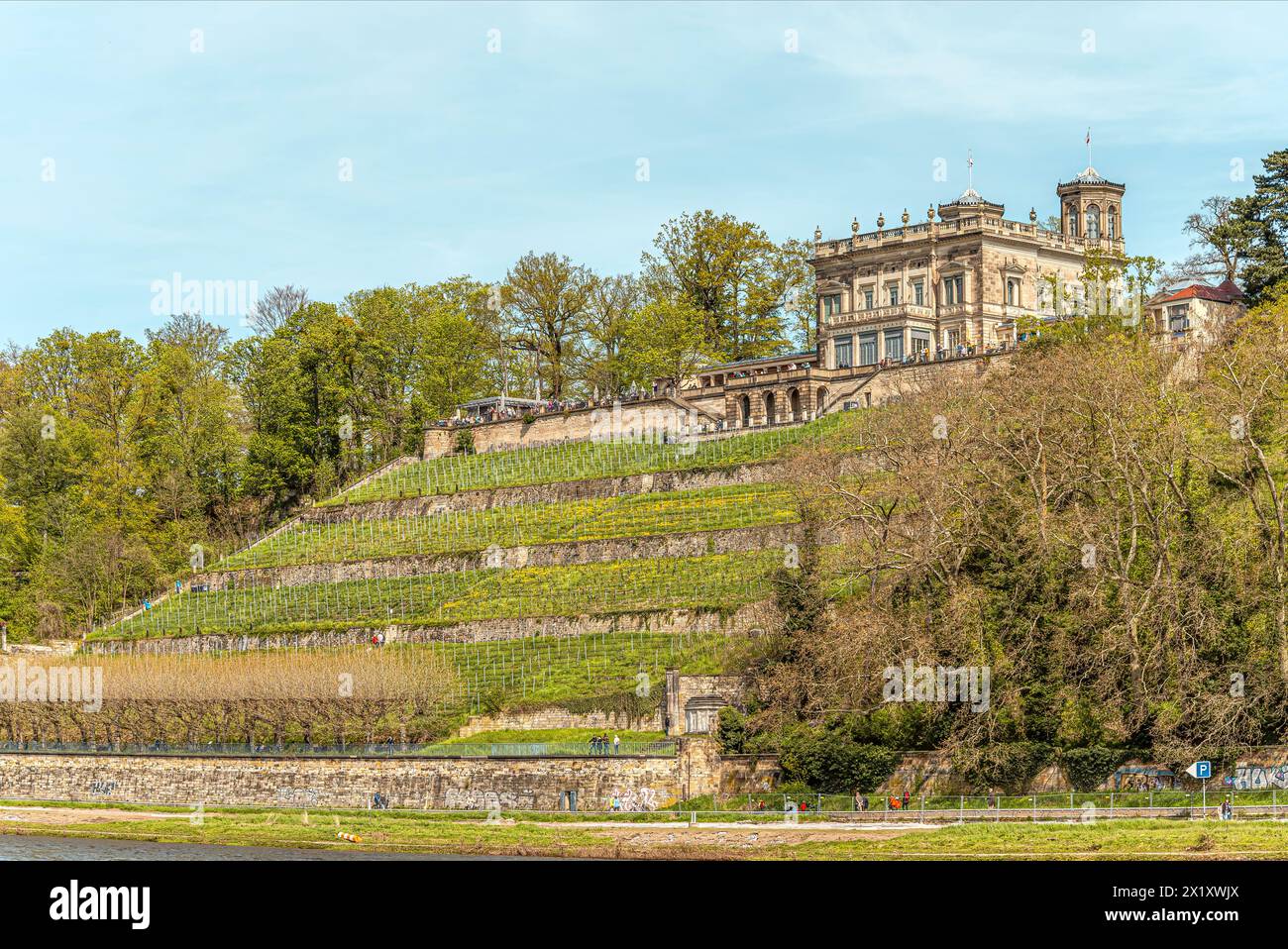Villa Stockhausen (Lingnerschloss), one of the three Elbe castles in the Elbe valley of Dresden seen from the opposite bank of the Elbe, Saxony, Germa Stock Photo