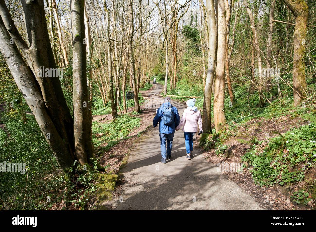 couple walking along woodland path in colin glen forest park west belfast northern ireland uk Stock Photo