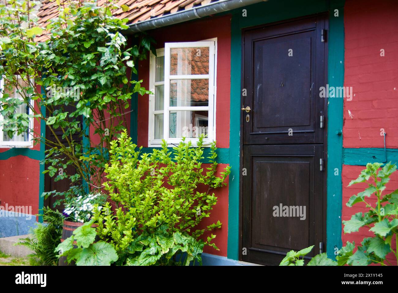 Black front door to a half-timbered danish townhouse with white window frames and a lush inner garden. Stock Photo