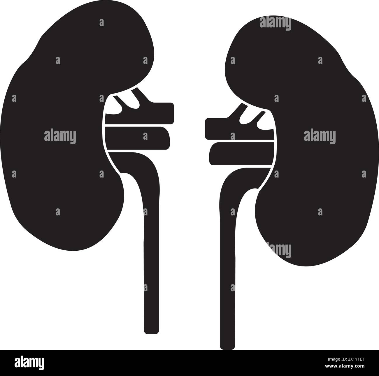 Kidney icon vector illustration symbol design Stock Vector