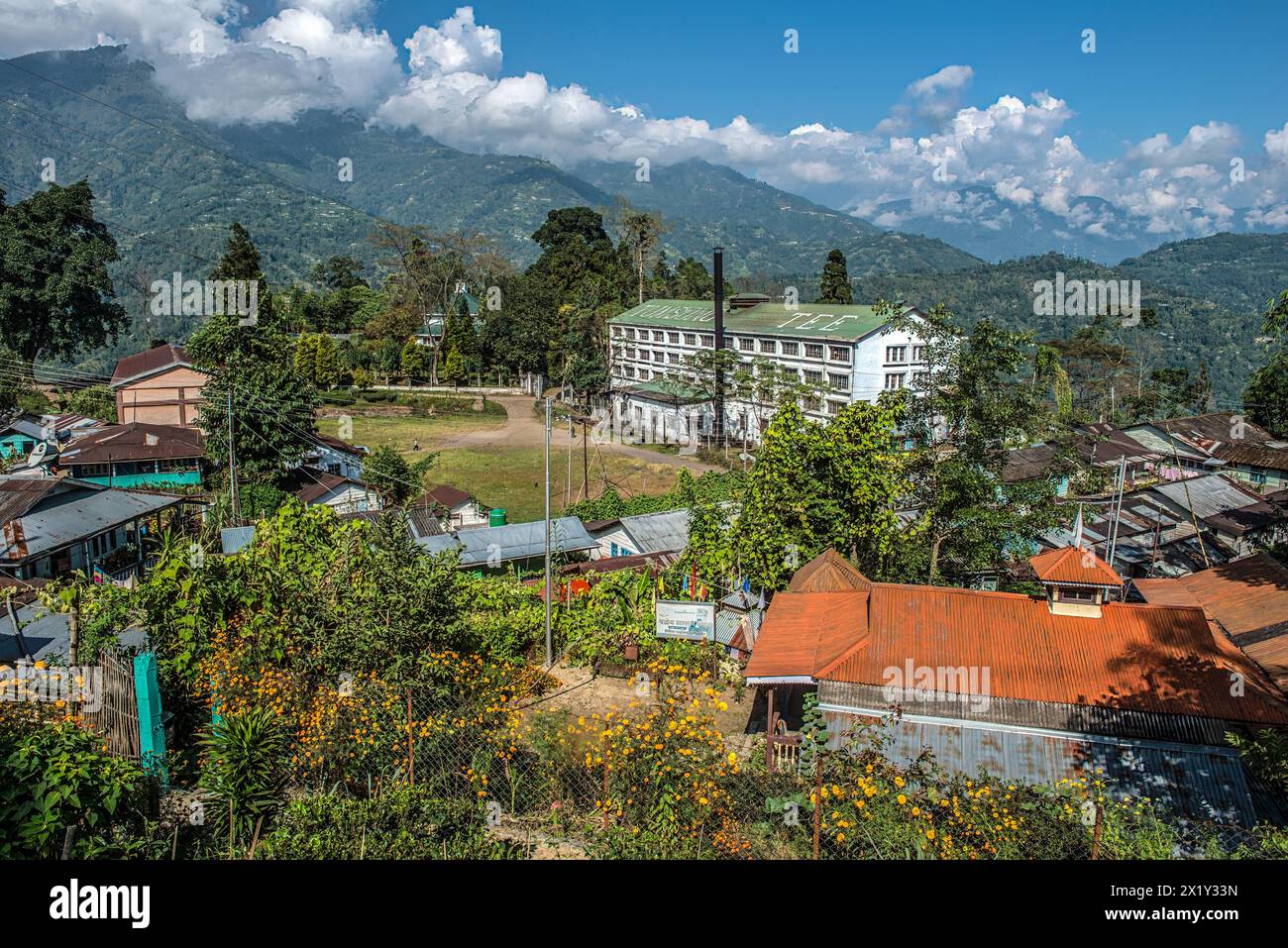 Factory building of the Tumsong plantation, idyllically located in the middle of the tea fields. To the left behind the trees is the colonial-style gu Stock Photo