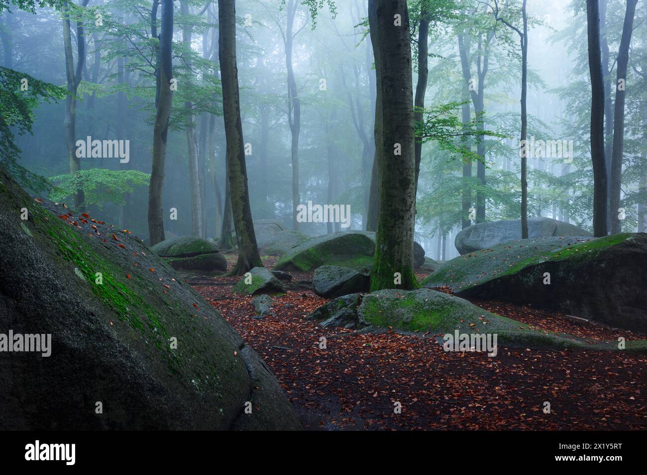 Summer fog at Felsenmeer, Lautertal, Odenwald, Hesse, Germany Stock Photo