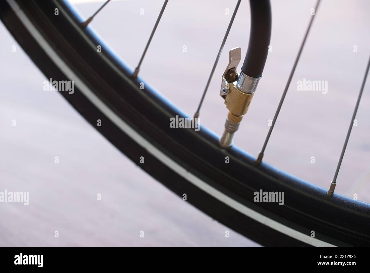 Inflate bike tires near me hotsell