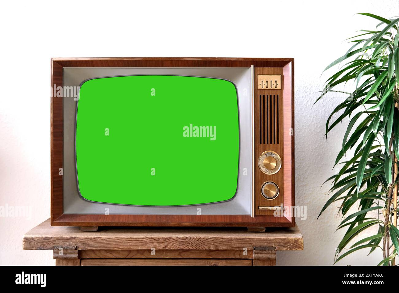 old retro TV with blank green screen for a designer, video film stands in a light room on a wooden table, ficus houseplant nearby, concept of a cozy h Stock Photo