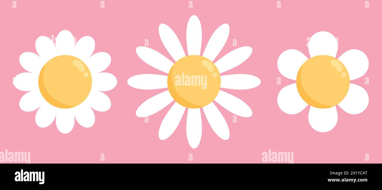 Cute chamomile flower icons set on pink background. Chamomile or daisy with white petals. Plant flower head sign symbol. Vector illustration Stock Vector