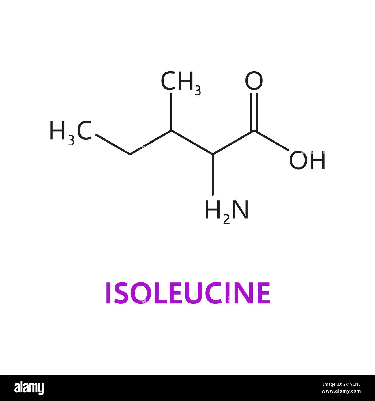 Isoleucine amino acid chemical molecules, essential chain structure. Isolated vector Isoleucine formula c6h13no2, featuring branched-chain structure crucial for protein synthesis and muscle metabolism Stock Vector