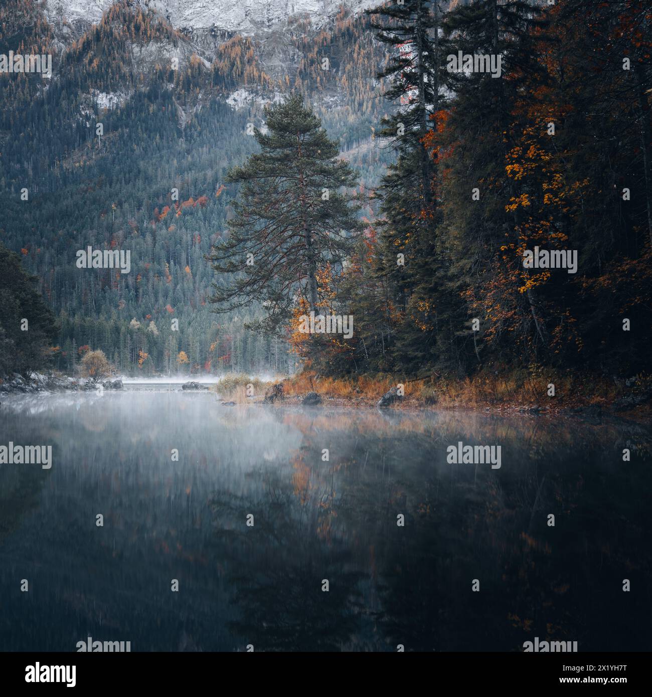 atmospheric-pictures-from-eibsee-in-autumn-stock-photo-alamy