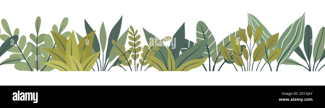 Vector seamless border with tropical plants. Horizontal frame made of ...