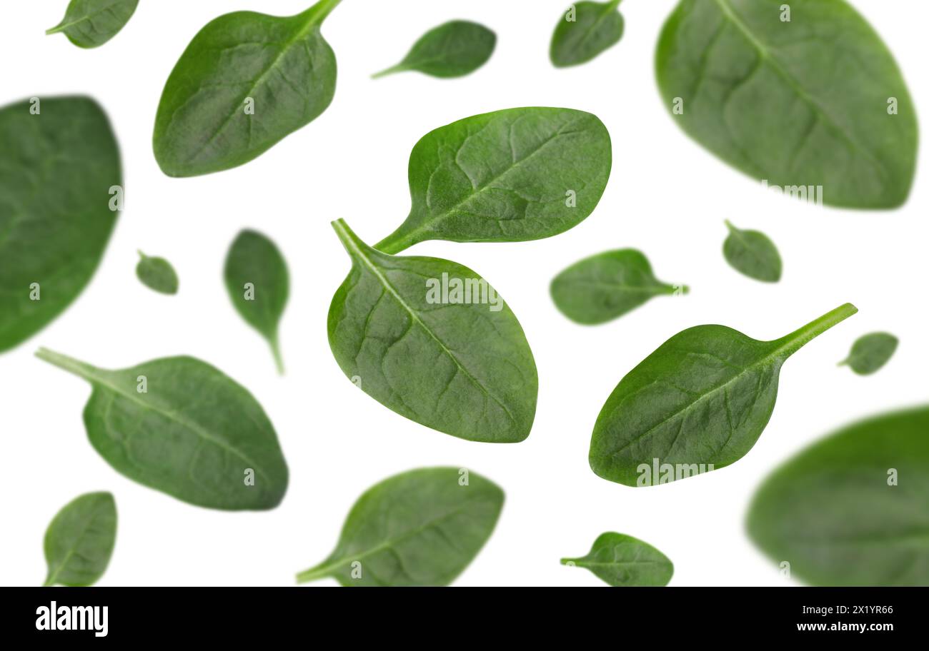 Fresh green spinach leaves falling on white background Stock Photo - Alamy