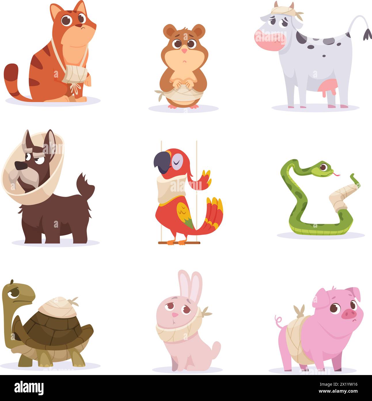 Sick animals. Damaged body of domestic pets after surgery exact vector animals dogs and cats