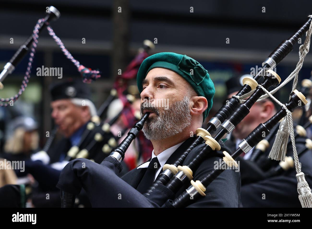 The New York Caledonian Club Pipe Band march in the Tartan Day Parade