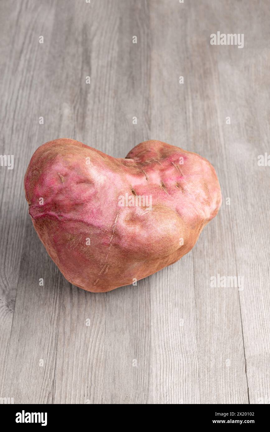 Sweet potato studio close up shot of one single raw uncooked crop wooden top Stock Photo