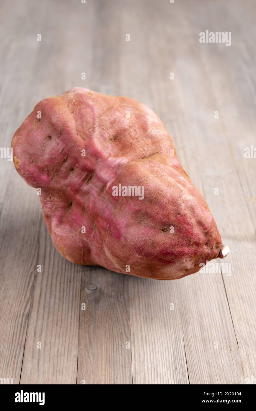 Sweet potato studio close up shot of one single raw uncooked crop wooden top Stock Photo