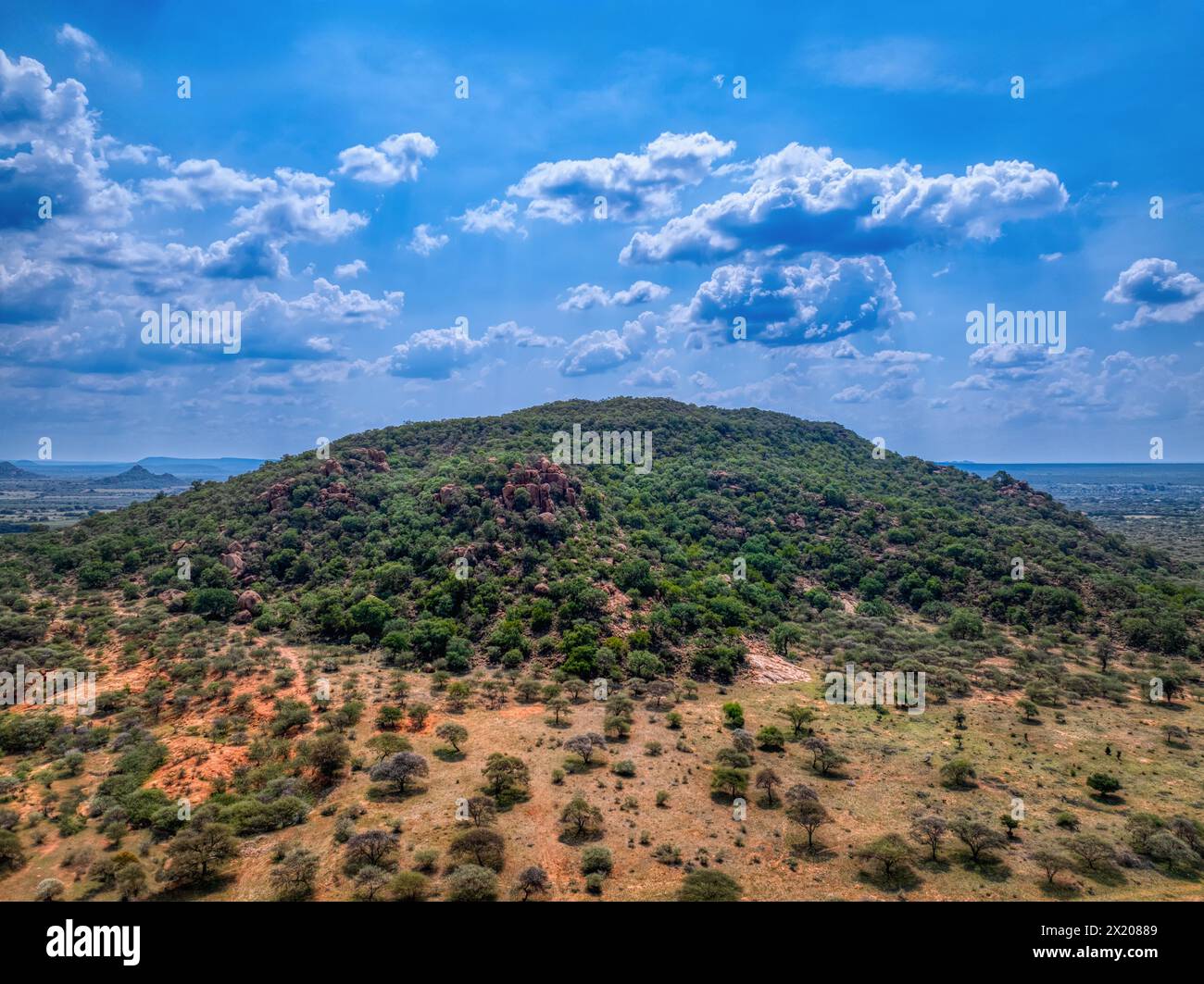 aerial view of typical african landscape, hill with bushveld with acacia trees and mountains range, Stock Photo