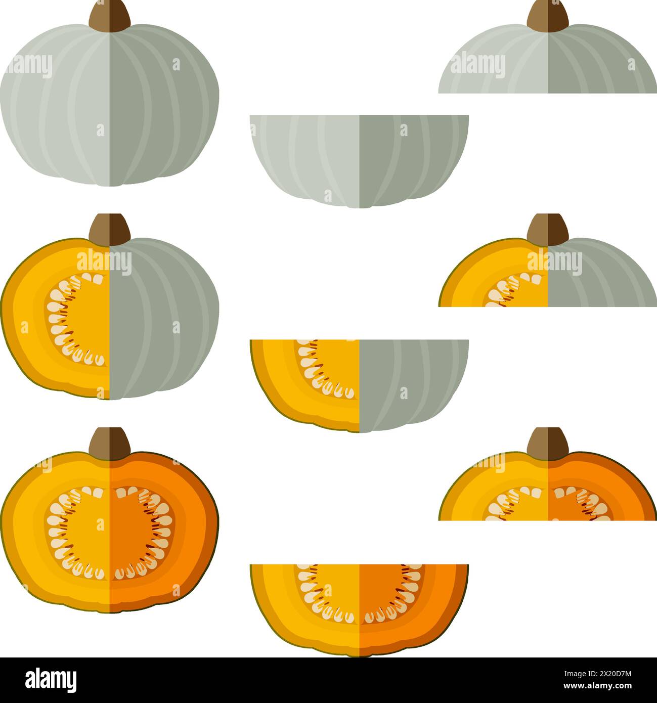 Set of Crown Prince Squash. Winter squash. Cucurbita maxima. Fruits and vegetables. Flat style. Isolated vector illustration. Stock Vector