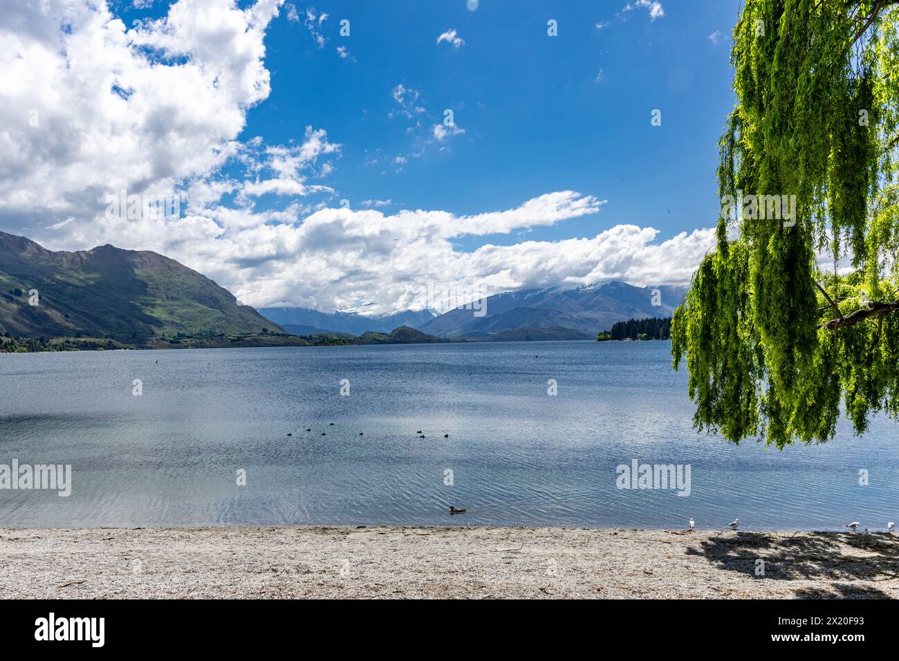 Views of Lake Wanaka from Wanaka and from viewing areas. Stock Photo