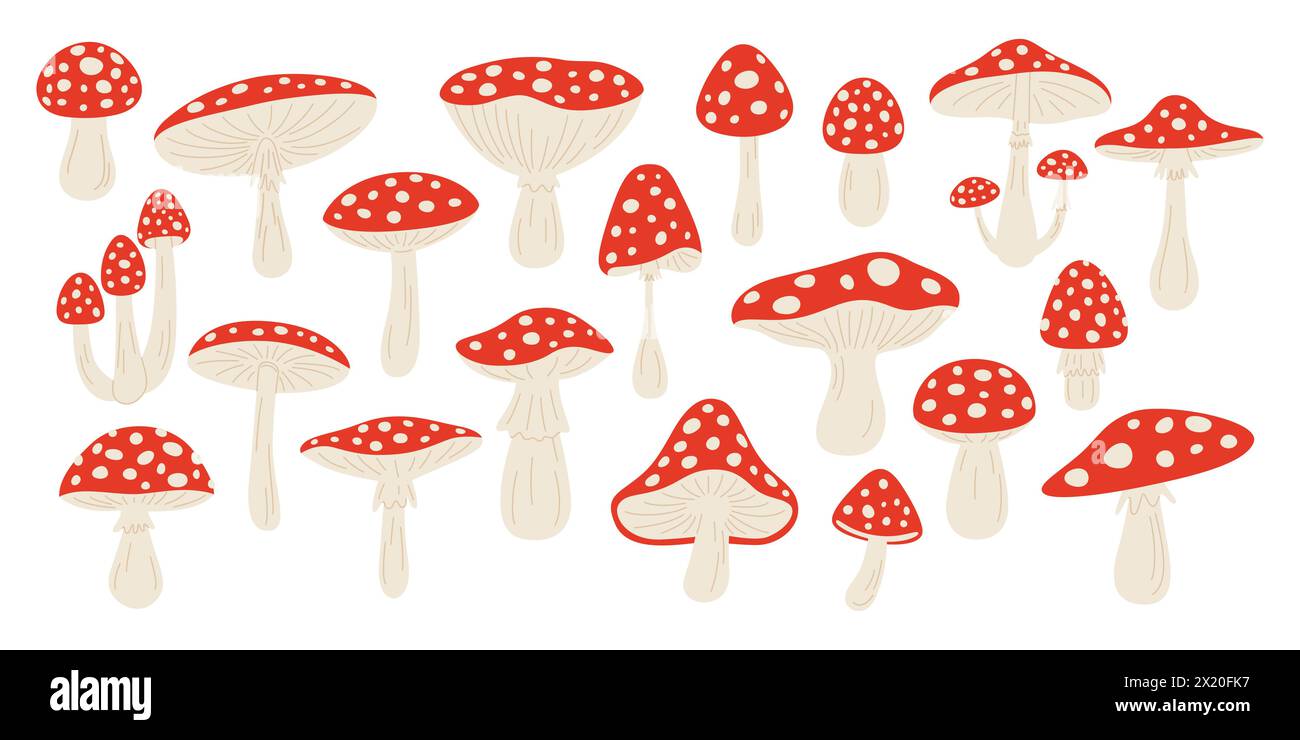 Vector Hand Drawn Cartoon Fly Agaric Mushrooms. Amanita Muscaria, Fly Agaric Illustration, Mushrooms Collection. Magic Mushroom Set, Design Template Stock Vector