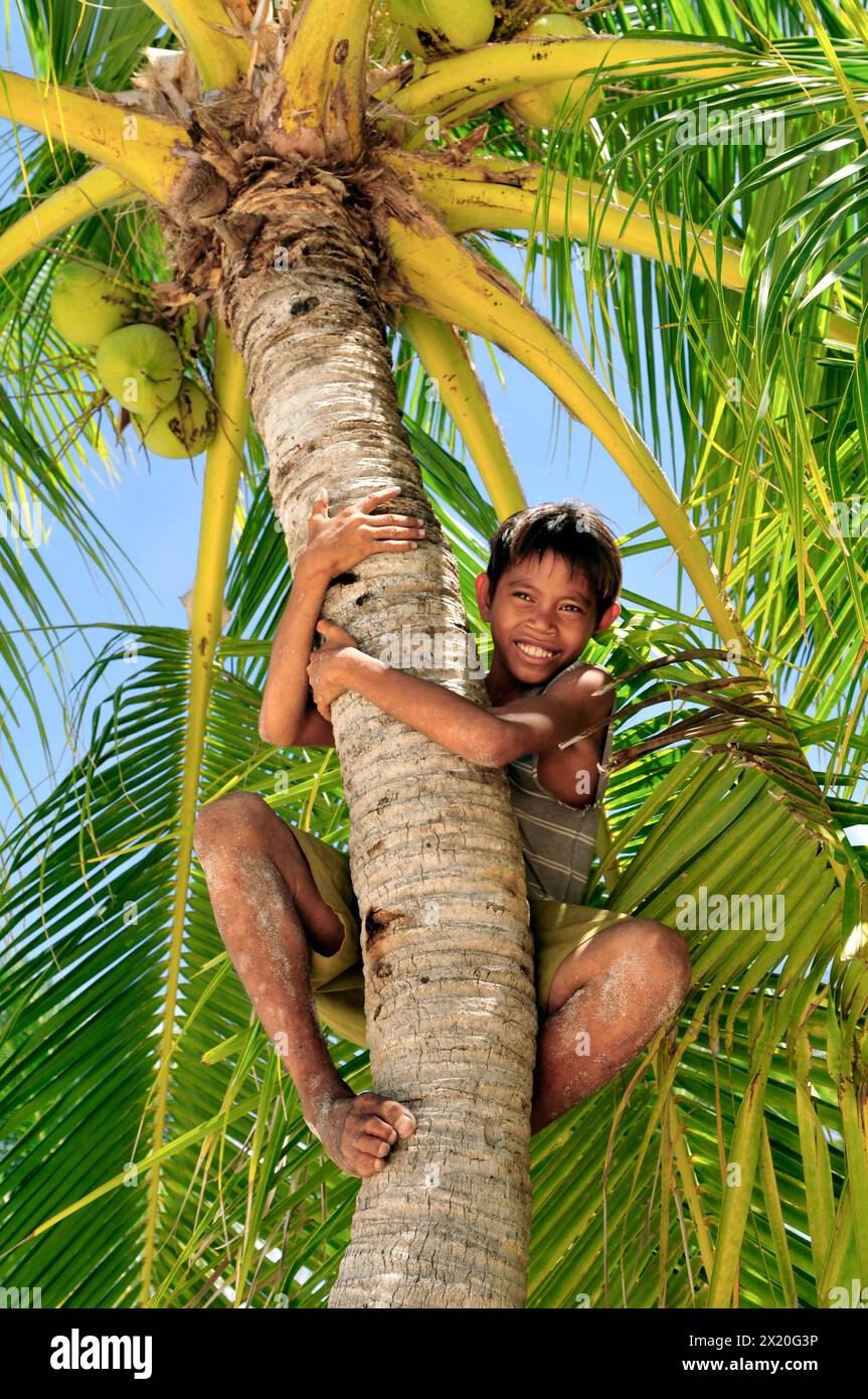 A cute Filipino boy climbing a coconut tree in Malapascua Island, Central Visayas, The Philippines. Stock Photo