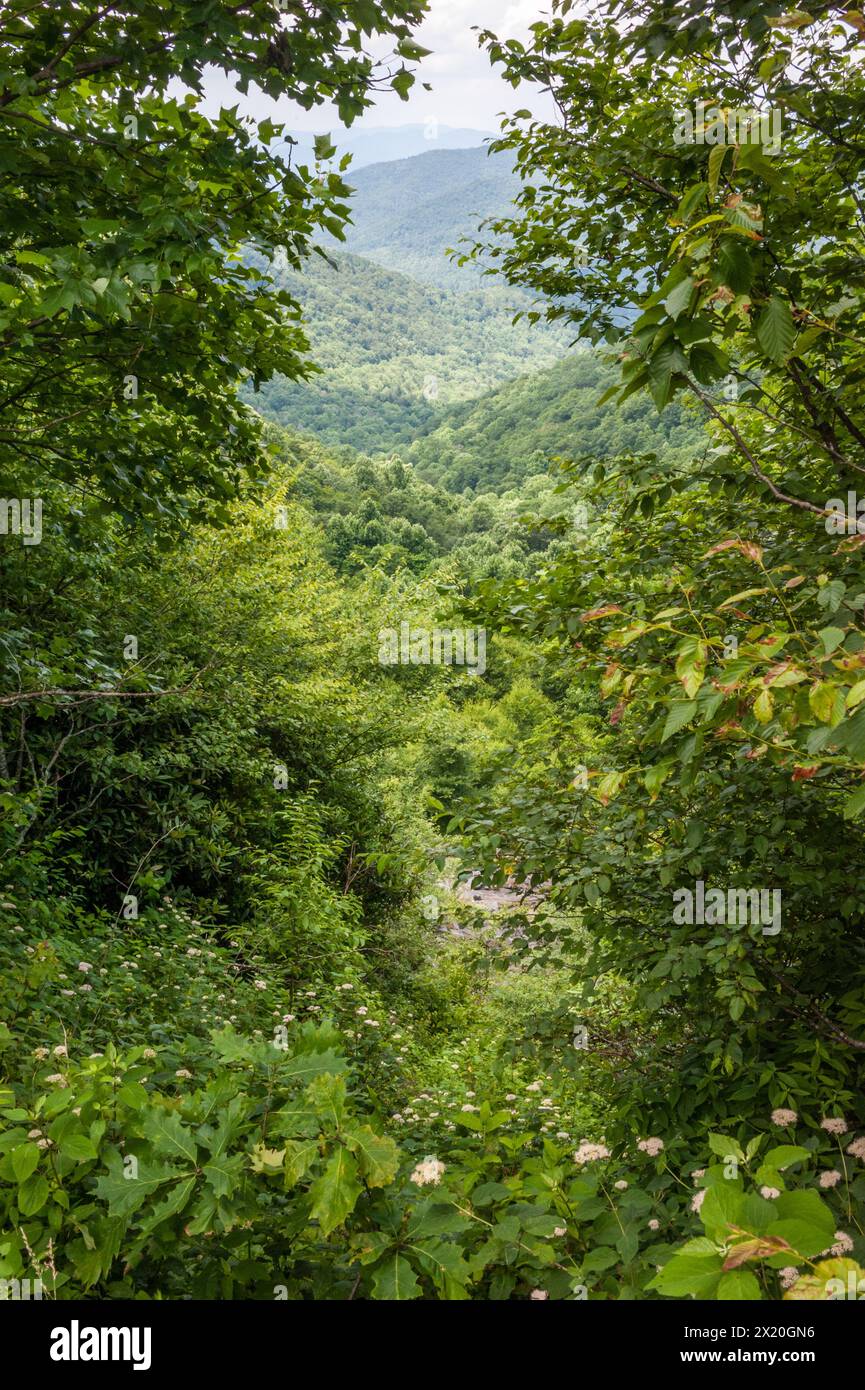 Scenic view of the Chattahoochee National Forest in the Blue Ridge Mountains near the Appalachian Trail between Helen and Blairsville, Georgia. (USA) Stock Photo
