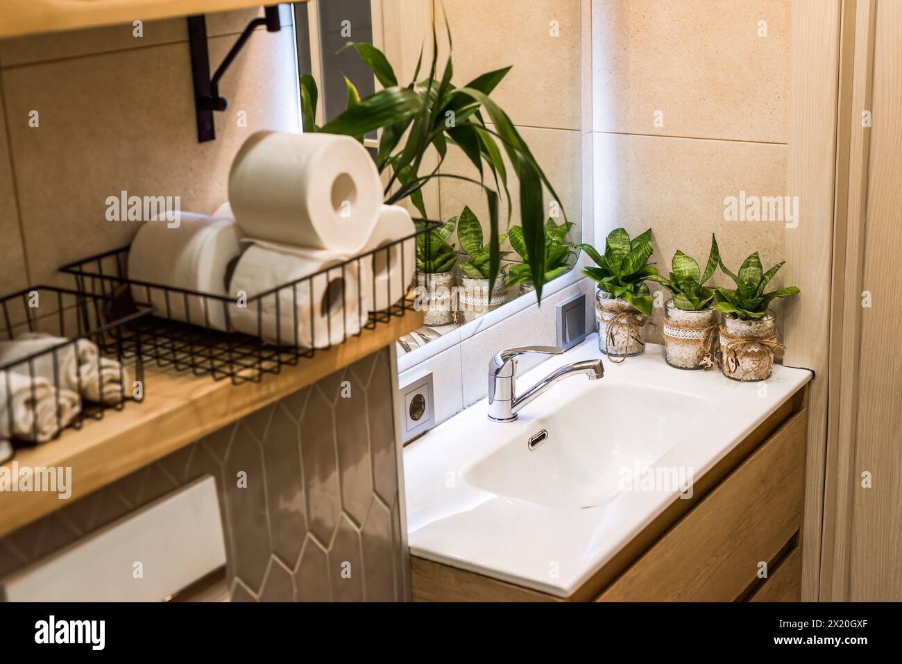 Sansevieria flowers in pots standing on sink as a bathroom decoration Stock Photo