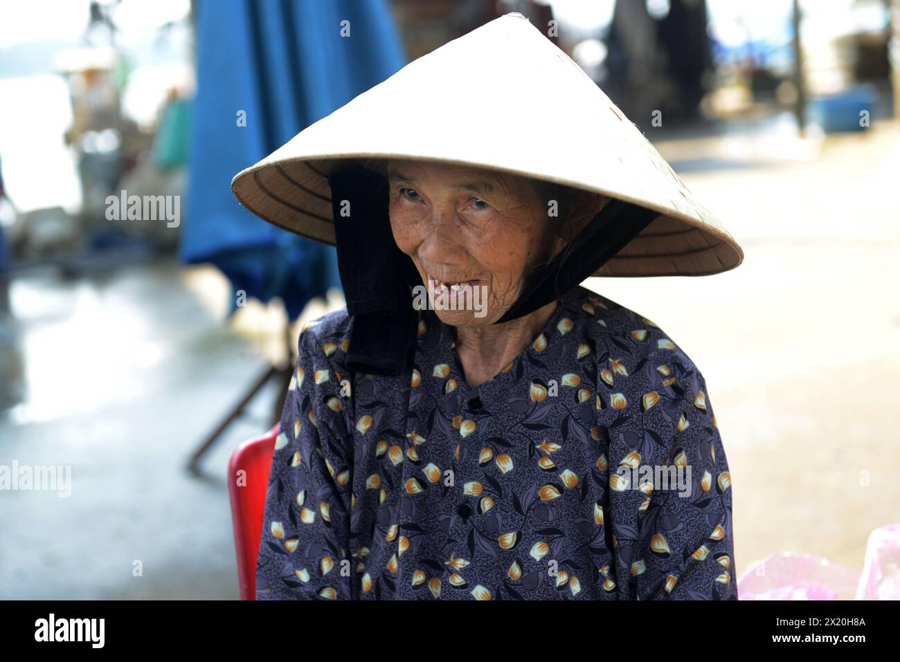 Portrait of an elderly Vietnamese woman taken at a local market in Hội An, Vietnam. Stock Photo