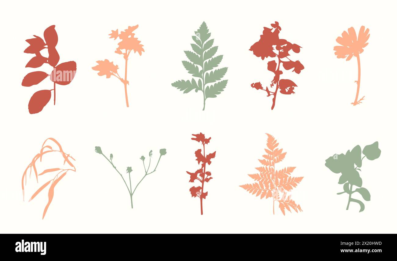 Botanical Floral Silhouettes Set Hand Drawn Plants Stock Vector Image ...