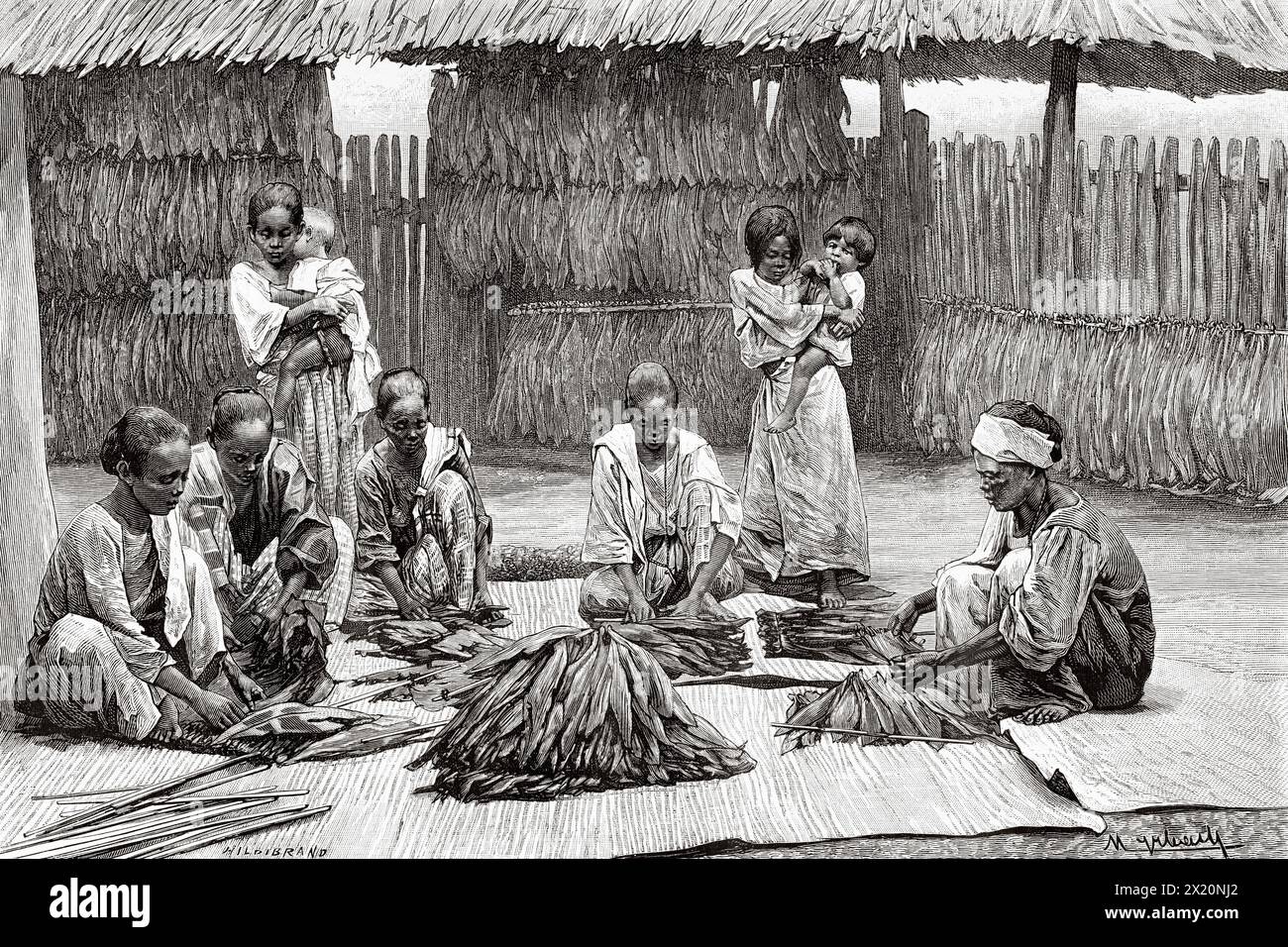 Indigenous natives of the island of Luzon making tobacco, Luzon Island, Philippines, South Asia. Drawing by Murbach. Luzon and Palawan, six years of travel in the Philippines by Alfred Marche (1844-1898) Le Tour du Monde 1886 Stock Photo