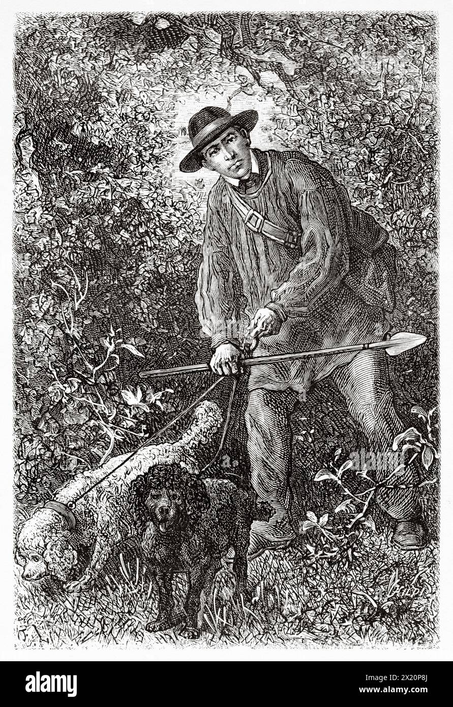 Truffle hunter with dogs, Alsace, France. Drawing by  Frédéric Théodore LIX (1830 - 1897) Through Alsace and Lorraine, 1884 By Charles Grad (1842 - 1890) Le Tour du Monde 1886 Stock Photo