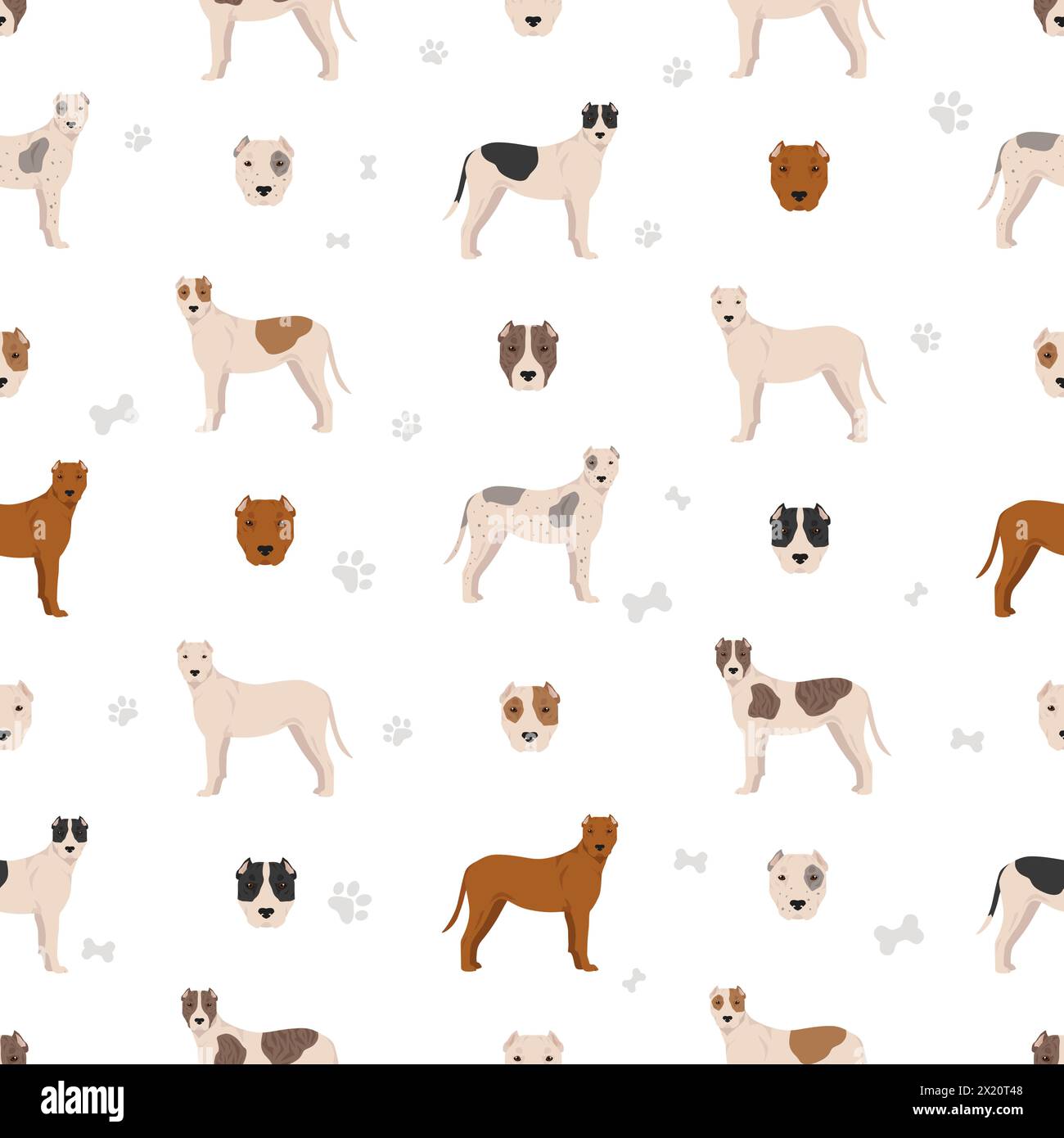 Bully Kutta seamless pattern. Different coat colors and poses set.  Vector illustration Stock Vector