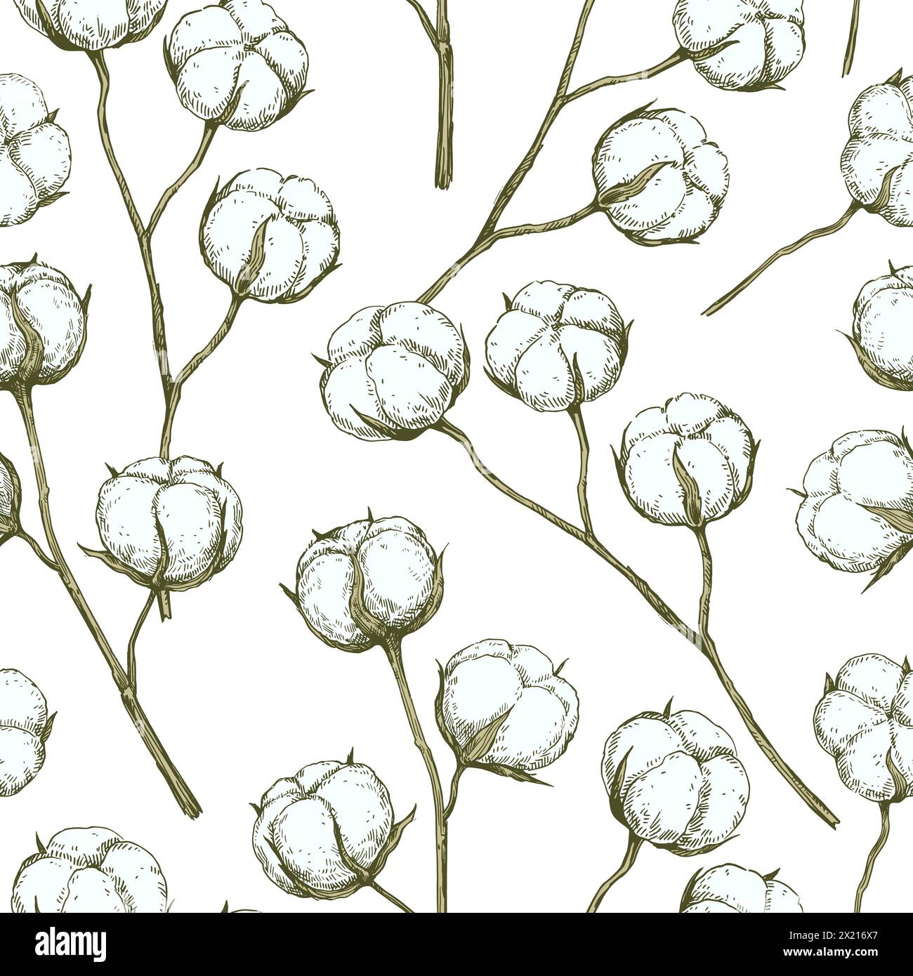 Vector seamless pattern with cotton branches. Hand-drawn ink illustration. Stock Vector