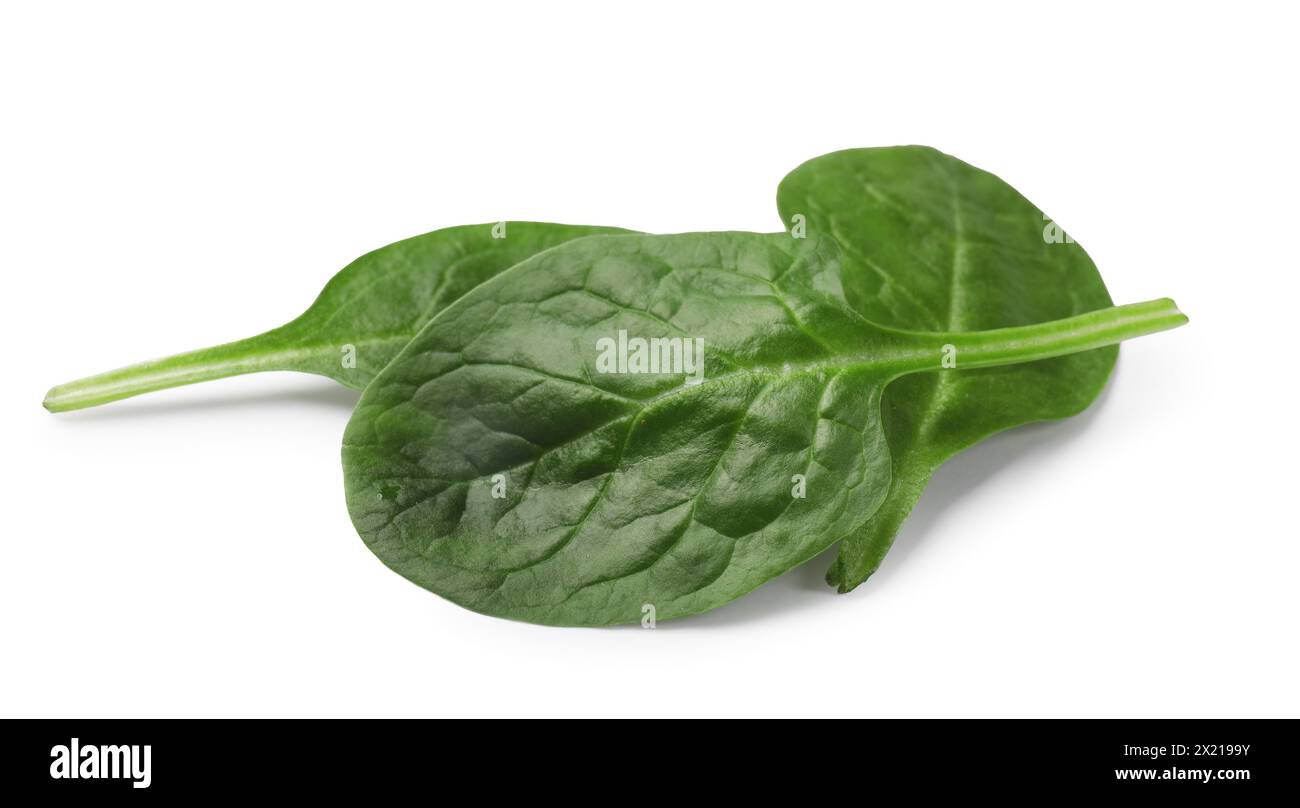 Three fresh spinach leaves isolated on white Stock Photo - Alamy