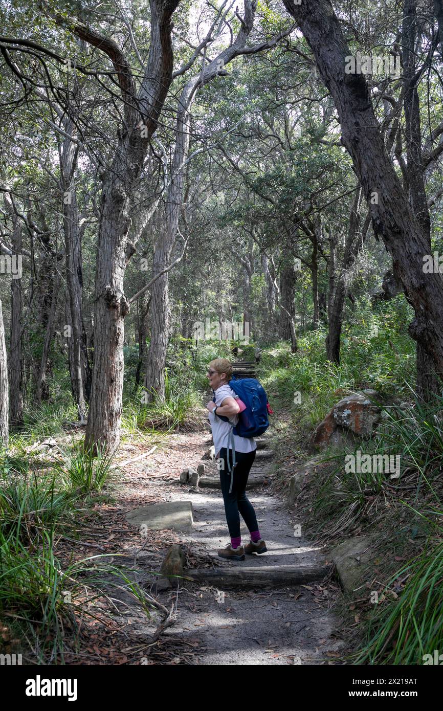 Female hiker, woman in her fifties, model released bush walking in Australian national park carrying rucksack, Ku-ring-gai chase national park Stock Photo